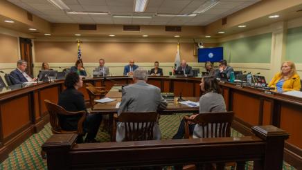 Wide view of committee members and witnesses